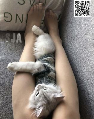 99视频这里都是精品8_高清高清免费观看