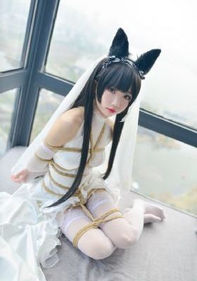 免费黄色av_720手机免费观看完整