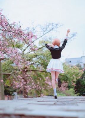 国产藏红花的价格多少一克_高清神马影院手机在线